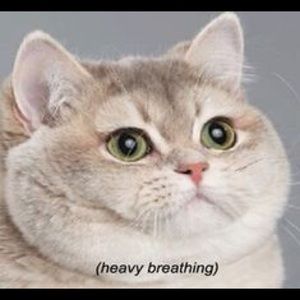 Meet your Posher, Mina